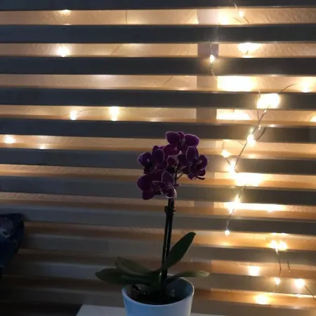 Au Calme Centre Homestay Caen